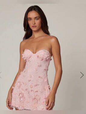 lace up corset bandeau micro mini dress in mauve Vestido Micro Mini Kimora Lace - Color de Malva